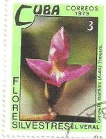 (1973-073) Марка Куба "Канавалия мечевидная"    Полевые цветы III Θ