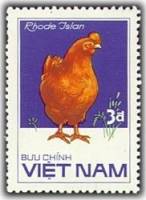 (1986-063) Марка Вьетнам "Род-Айлендская Красная курица"    Домашние птицы III Θ