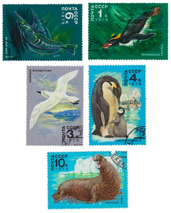 1978-051-55  Серия Набор марок (5 шт) СССР  Животный мир Антарктики III Θ