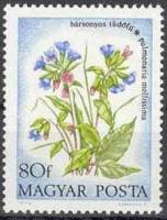 (1973-057) Марка Венгрия "Медуница мягкая"    Полевые цветы I Θ