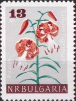 (1966-099) Марка Болгария "Лилия тигровая"   Садовые цветы III Θ