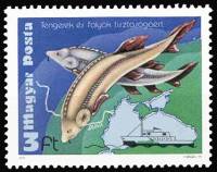 (1979-046) Марка Венгрия "Осетр"    Охрана окружающей среды II Θ