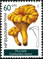 (1987-011) Марка Болгария "Лисичка"   Грибы III Θ