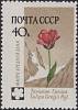 1960-107 Марка СССР Тюльпан Грейга   Флора I Θ
