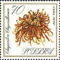 (1966-045) Марка Польша "Хризантема"   Садовые цветы II Θ