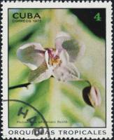 (1973-020) Марка Куба "Фаленопсис Шиллера"    Орхидеи II Θ