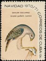 (1970-098) Марка Куба "Кубинский ястреб"    Рождество III Θ