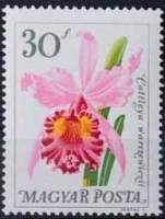 (1965-076) Марка Венгрия "Каттлея Варшевича"    Цветы ботанического сада II Θ