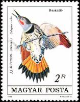 (1985-029) Марка Венгрия "Дятел"    Птицы II Θ