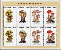 (№1996-5534) Лист марок Гайана 1996 год "Грибы", Гашеный