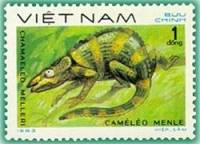 (1983-029) Марка Вьетнам "Хамелеон Меллера"    Рептилии III Θ