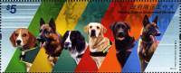 (№2012-1723) Марка Гонконг 2012 год "Рабочие собаки canis волчанка familiaris в государственных служ