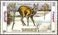 (1990-023) Марка Монголия "Зима"    Фауна Монголии. Кабарга III Θ
