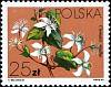 (1984-012) Марка Польша "Ломонос виноградолистный"    Вьющееся растение III Θ