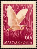(1959-029) Марка Венгрия "Обыкновенная колпица"    Водоплавающие птицы I Θ