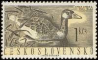 (1960-057) Марка Чехословакия "Серый гусь"   Водоплавающие птицы II Θ