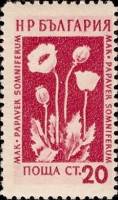 (1954-003) Марка Болгария "Мак (23.03)"   Лекарственные растения Болгарии (3) II Θ