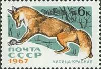 1967-078 Марка СССР Красная лиса   Пушные промысловые звери III O