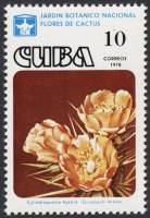 (1978-029) Марка Куба "Цилиндропунция"    Кактусы III Θ