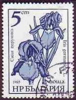 (1985-092) Марка Болгария "Ирис германский"   Садовые цветы (Стандартный выпуск) III Θ