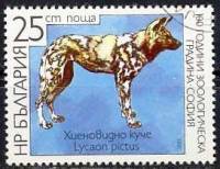 (1988-035) Марка Болгария "Гиеновидная собака"   Зоопарк Софии, 100 лет II Θ