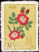 (1963-019) Марка Северная Корея "Шиповник морщинистый"   Цветы. III O
