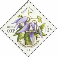 1981-050 Марка СССР Княжик альпийский  Цветы украинских Карпат II Θ