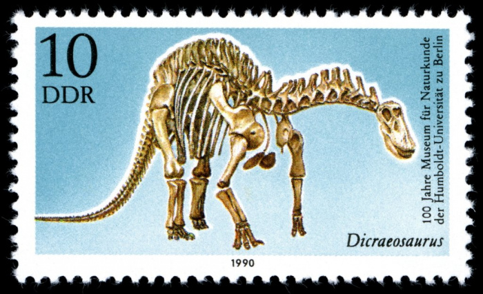 (1990-027) Марка Германия (ГДР) &quot;Дикреозавр&quot;    Музей естественной истории II Θ