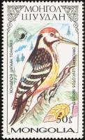 (1987-019) Марка Монголия "Белоспинный дятел"    Птицы семейства дятловых III Θ