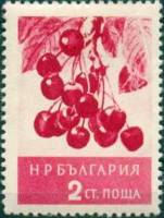 (1956-012) Марка Болгария "Вишня"   Фрукты (2) III O