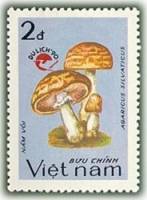 (1990-109) Марка Вьетнам "Шампиньон лесной"    Туризм III O
