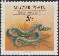 (1989-037) Марка Венгрия "Обыкновенный уж"    Охрана природы. Рептилии II Θ