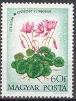 (1973-056) Марка Венгрия "Цикламен"    Полевые цветы II Θ