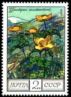 1976-110 Марка СССР Золотистый прострел   Цветы гор Кавказа III O