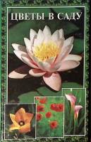 Книга Цветы в саду 2001 А. Балашов Нижний Новгород Твёрдая обл. 224 с. С ч/б илл