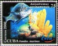 (№4317) Марка Куба 2000 год "Черный Anisotremus Маргейт surinamensis", Негашеная