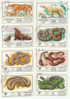 1977-099-106  Серия Набор марок (8 шт) СССР  Фауна III Θ