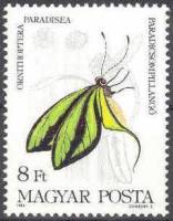 (1984-030) Марка Венгрия "Райский птицекрыл"    Бабочки II Θ