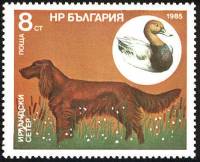 (1985-120) Марка Болгария "Ирландский сеттер"   Охотничья собака II Θ