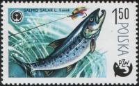 (1979-018) Марка Польша "Сёмга"    100 лет спортивной рыбалке II O