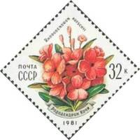 1981-051 Марка СССР Рододендрон Кочи  Цветы украинских Карпат III O