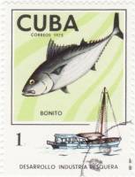 (1975-009) Марка Куба "Полосатый тунец"    Развитие рыбной промышленности III Θ