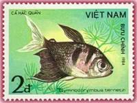 (1984-067) Марка Вьетнам "Тернеция"    Рыбы III Θ
