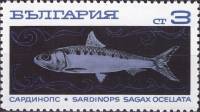 (1969-101) Марка Болгария "Сардина"   Океанское рыболовство III O