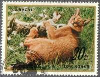 (1984-076) Марка Северная Корея "Каракал"   Животные III Θ