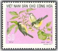 (1973-024) Марка Вьетнам "Большая синица"   Птицы III O