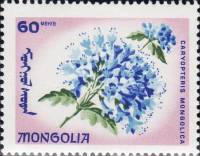 (1966-031) Марка Монголия "Кариоптерис"    Эндемические цветы II Θ