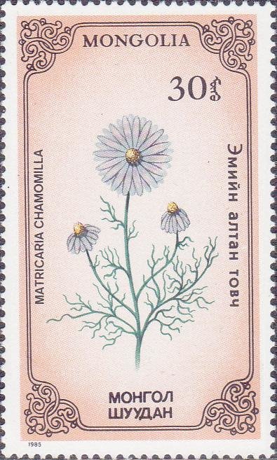 (1985-032) Марка Монголия &quot;Ромашка лекарственная&quot;    Растения III O