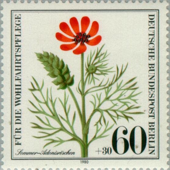 (1980-019) Марка Германия (ФРГ) &quot;Адонис летний&quot;    Растения под защитой III O