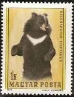 (1977-086) Марка Венгрия "Гималайский Медведь"    Медведи II Θ